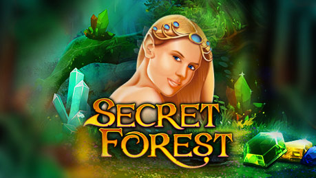 Die unterhaltsame Slot-Maschine Secret Forest